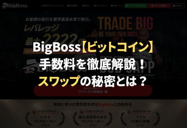 BigBoss【ビットコイン】手数料を徹底解説！スワップの秘密とは？